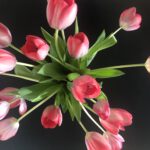 Blumen auf schwarzem Hintergrund – Symbol für kreative Harmonie im Tagesworkshop Intuitives Zeichnen 2 2025