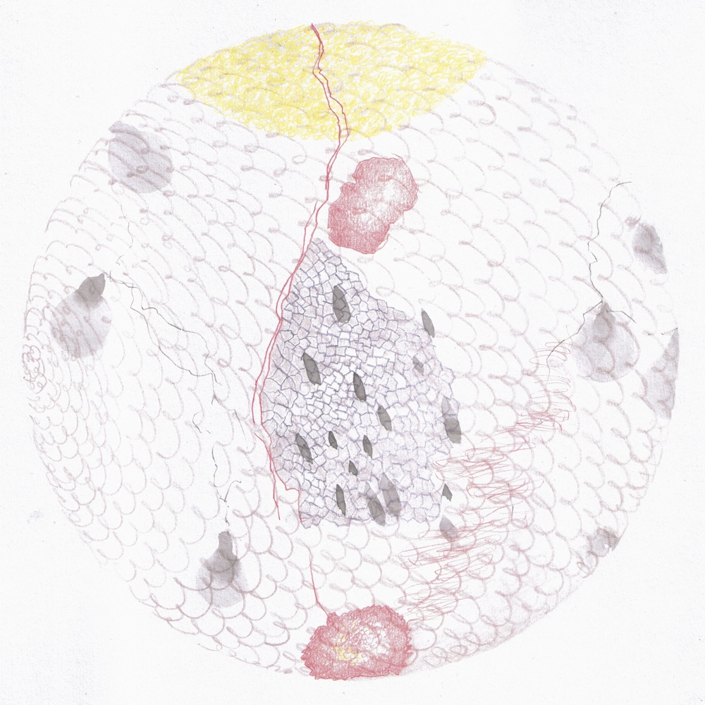 MasterClass II: Kunst und Gestalt (Block 1)
