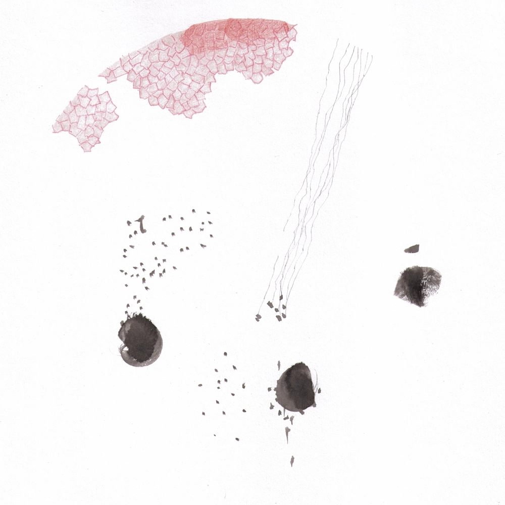 MasterClass II: Kunst und Gestalt (Block 3)